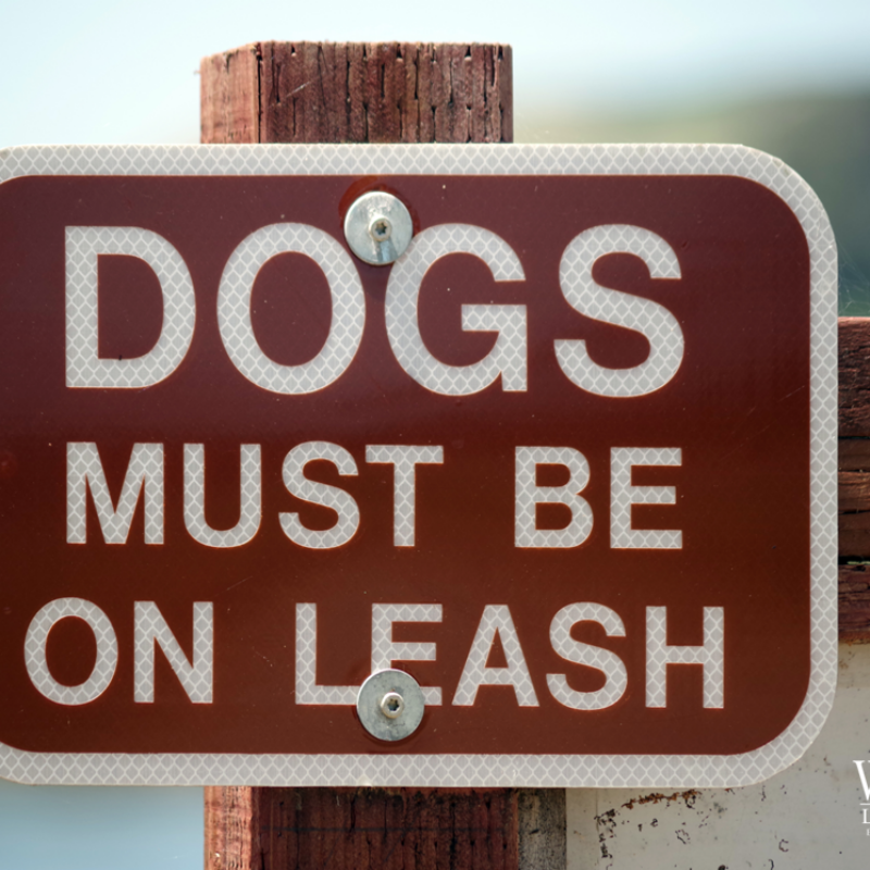 Leash Laws Dog Bite and Animal Attack Alabama Georgia